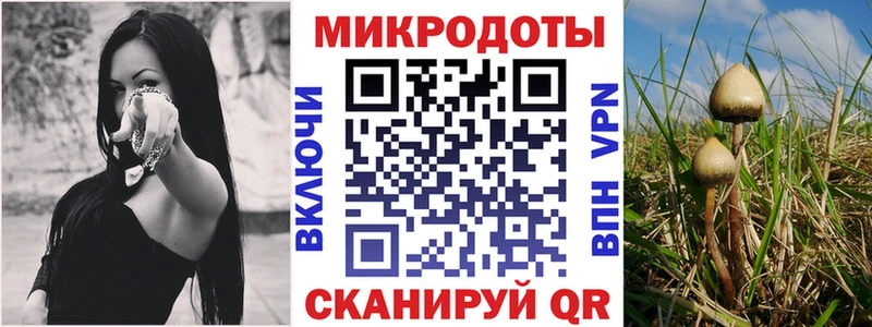 Псилоцибиновые грибы GOLDEN TEACHER  hydra рабочий сайт  Щигры 